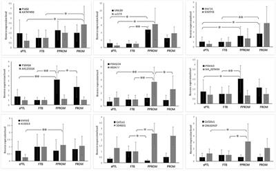 Ubiquitin-Proteasome-Collagen (CUP) Pathway in Preterm Premature Rupture of Fetal Membranes